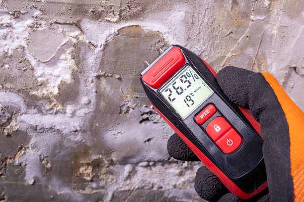 Best Toxic Mold Removal  in Mauston, WI