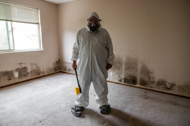 Best Mold Testing  in Mauston, WI