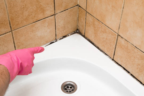 Best Office Mold Removal Services  in Mauston, WI